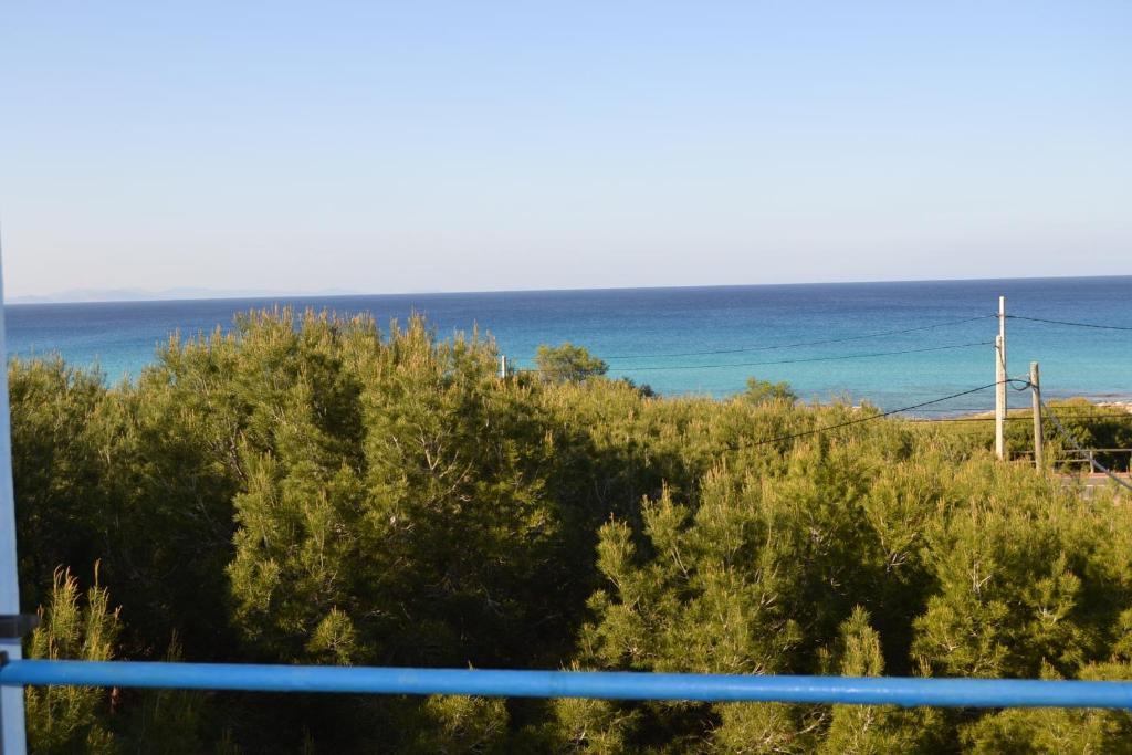 Apartamentos Cas Xurrac Es Calo  Bilik gambar